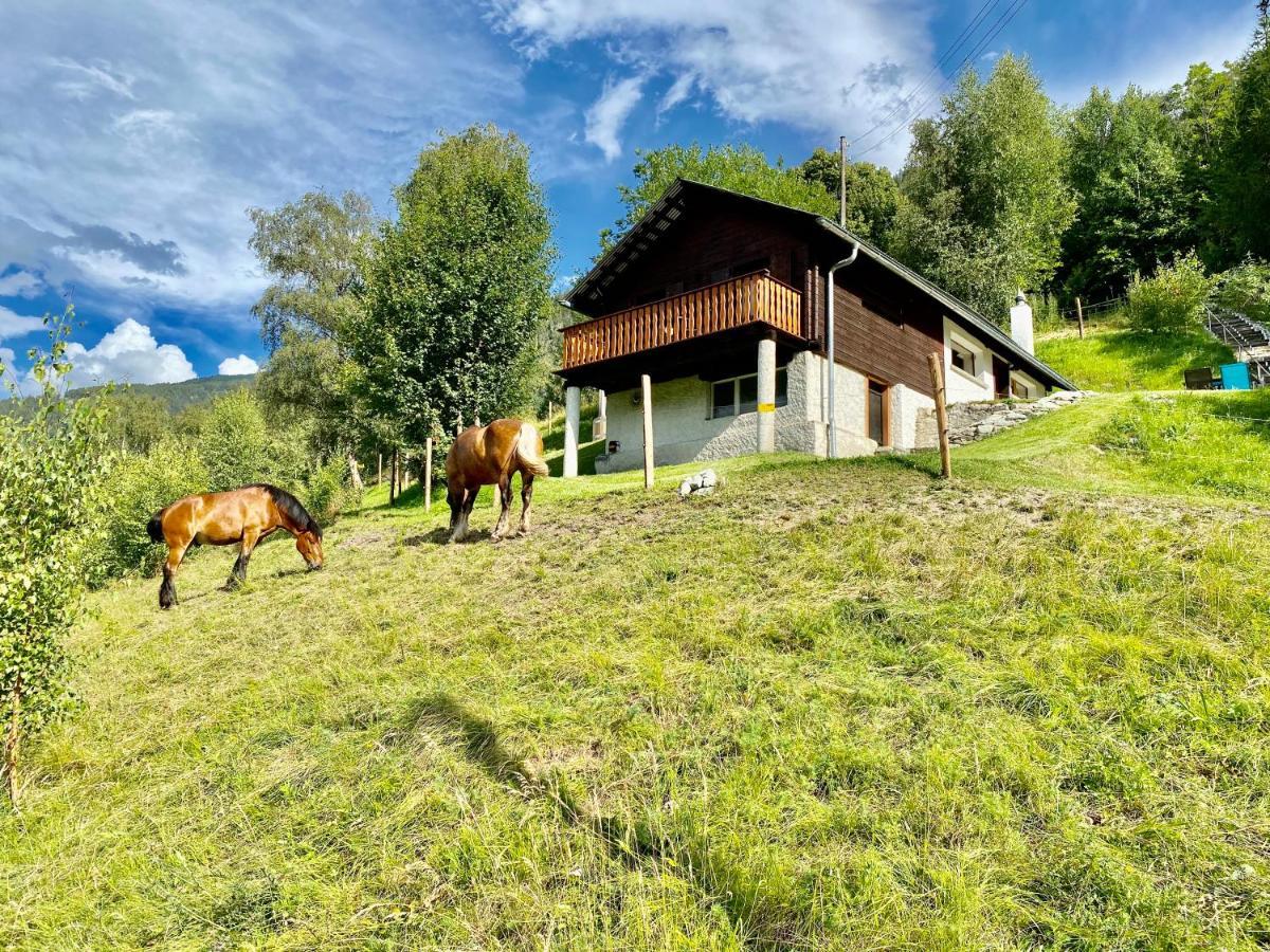 Eco Lodge With Jacuzzi And View In The Swiss Alps Grône Eksteriør billede